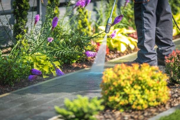 Best Post-Construction Pressure Washing  in Weber City, VA